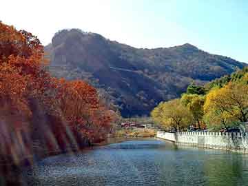 澳门天天免费精准大全，华地晟世